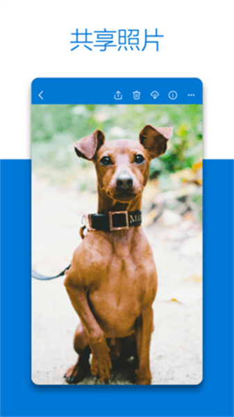 OneDrive手机端截图2