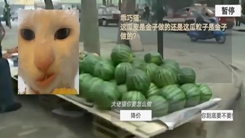 猫猫惊魂夜游戏截图1