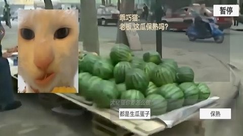 猫猫惊魂夜游戏截图2
