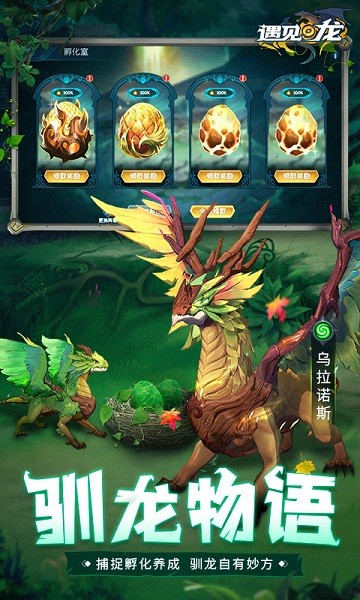 遇见龙游戏截图3