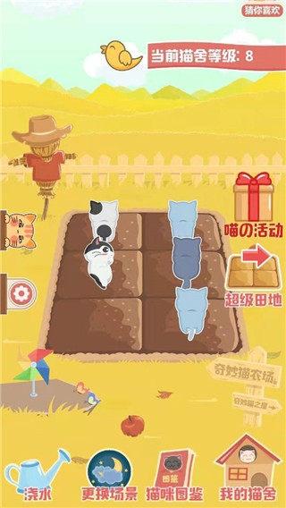 奇妙猫之家最新版游戏截图3