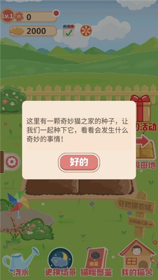 奇妙猫之家最新版游戏截图5