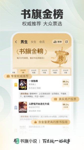 书旗小说正版