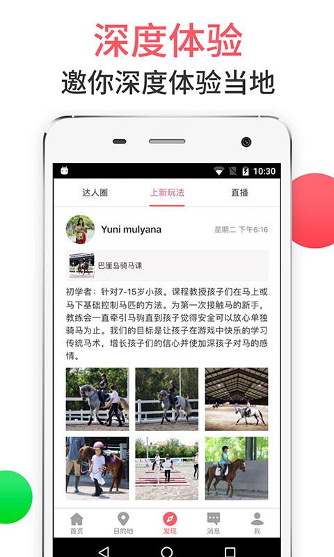 8只小猪截图1