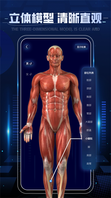 3D人体解剖图谱截图2