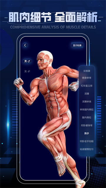 3D人体解剖图谱截图3