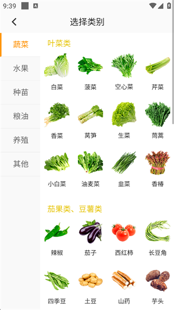珍汇选截图5