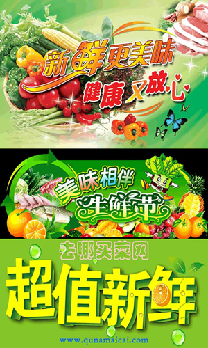 去哪买菜app截图1