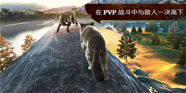 狼族中文版最新版截图2