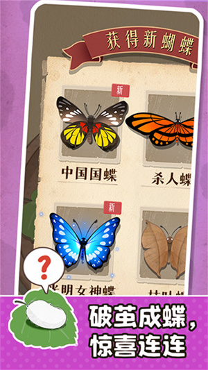 小小养蚕师最新版截图5