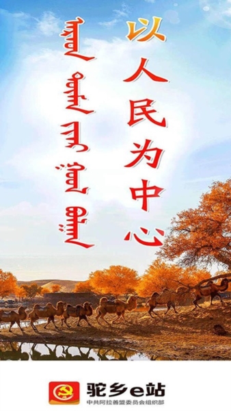 驼乡e站截图4