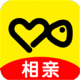 伊对相亲截图8