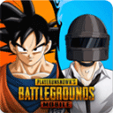 PUBG MOBILE亚服