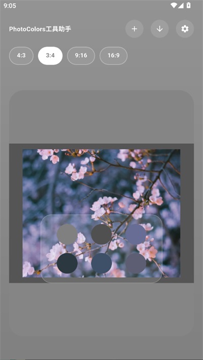 photocolors截图2