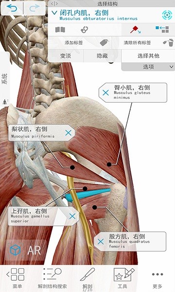 人体解剖3d教学app截图3