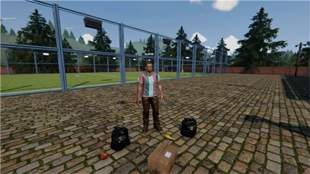 足球场模拟器游戏