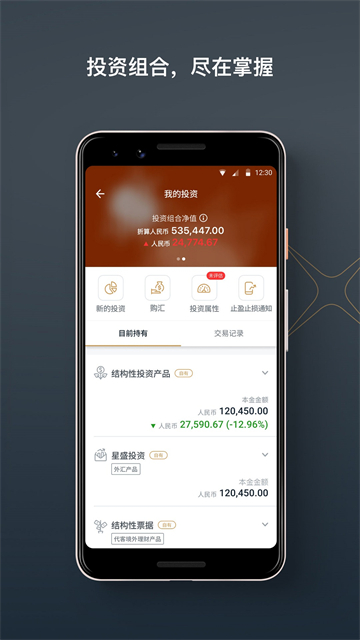 星展银行app截图2