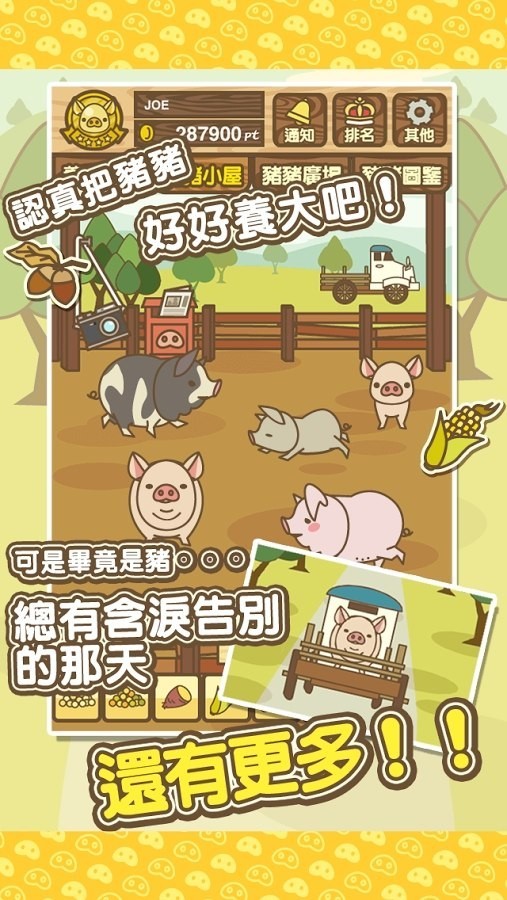 养猪场MIX无限金币版截图5