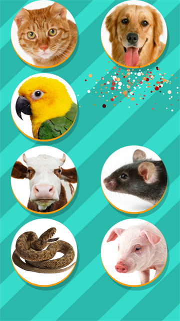 Pet Translator截图4