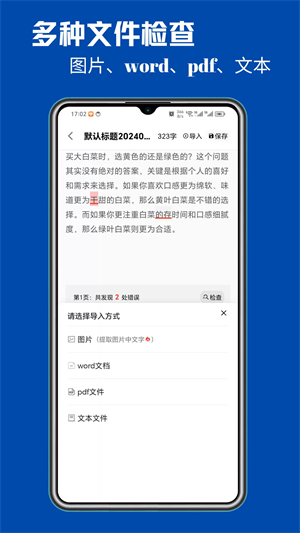 错别字检查软件截图2