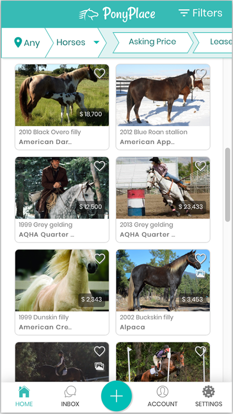马匹交易平台(PonyPlace)截图1