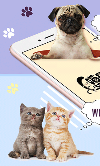 猫狗语翻译器截图2