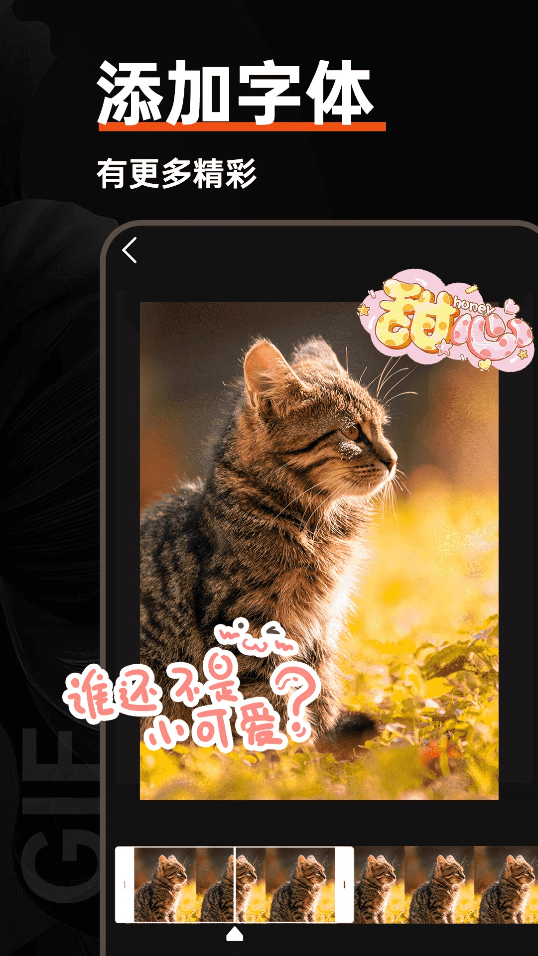 GIF动图制作器免费截图1