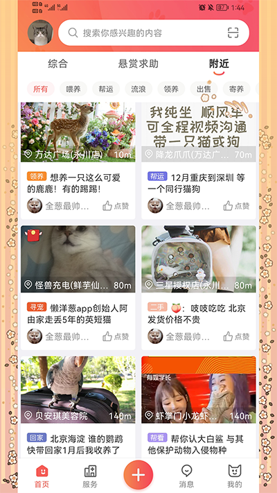 懒洋葱截图1