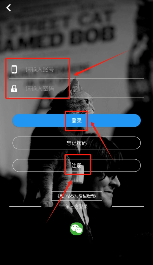 流浪宠物截图3