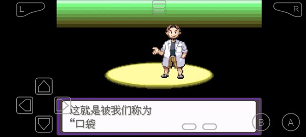 口袋妖怪漆黑的魅影截图3