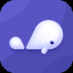 小京鱼客户端app