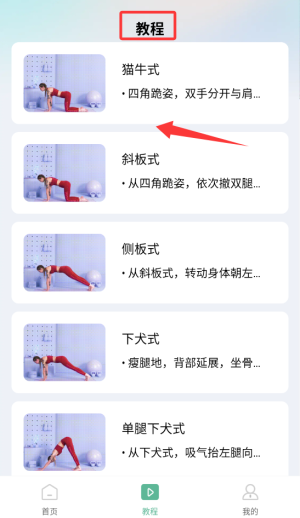 每天瑜伽截图1