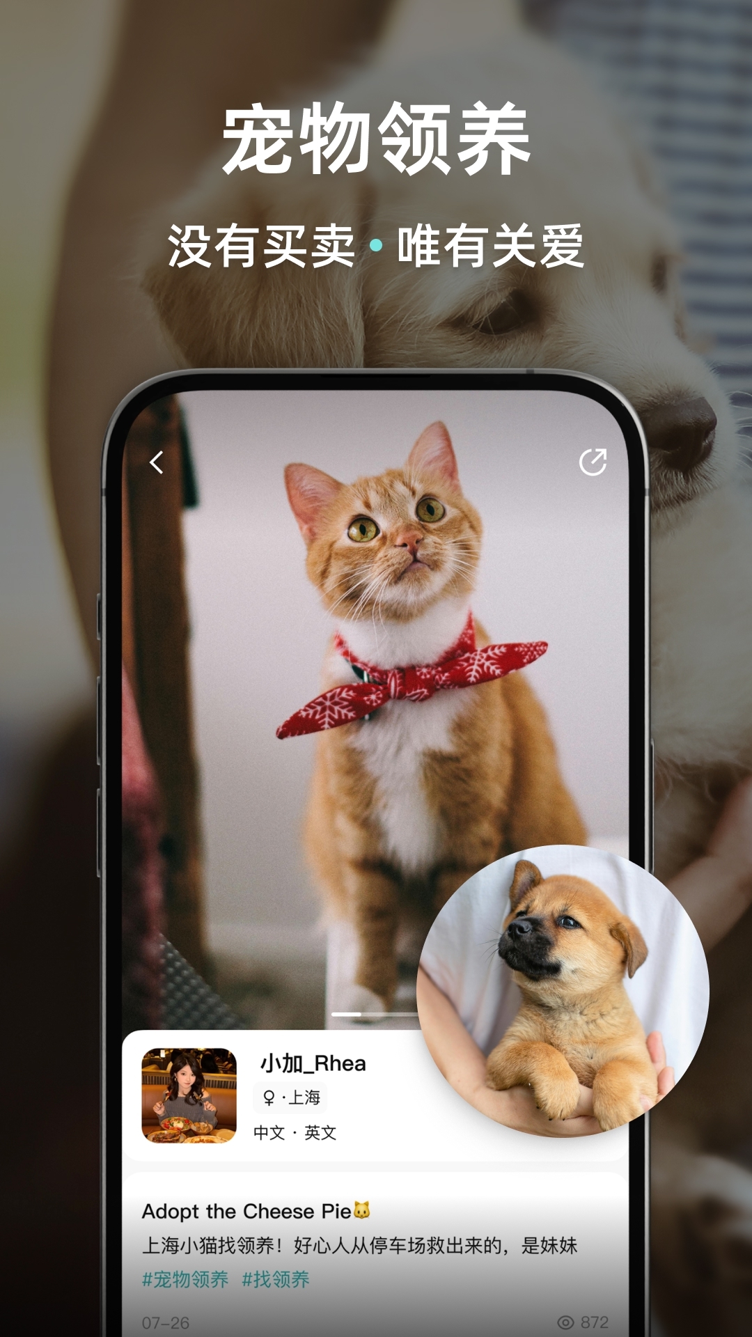 Wellcee唯心所寓app截图4