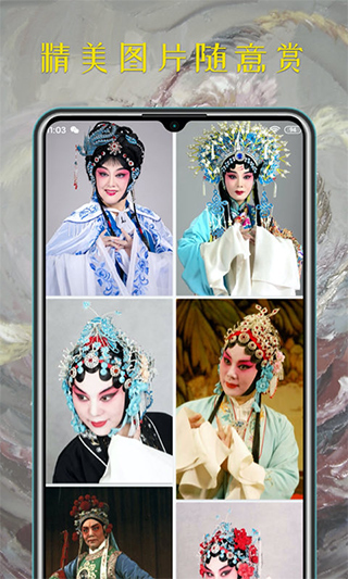 豫剧迷官方版截图1