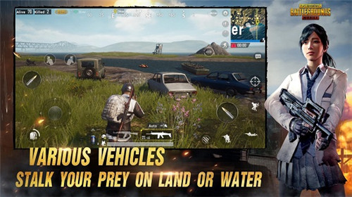 pubg截图2