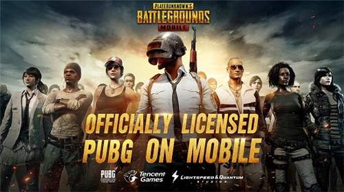 pubg截图1