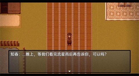 流星降临的小镇来自过去的幽灵游戏截图1