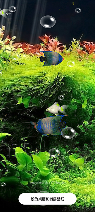 水族馆动态壁纸截图2