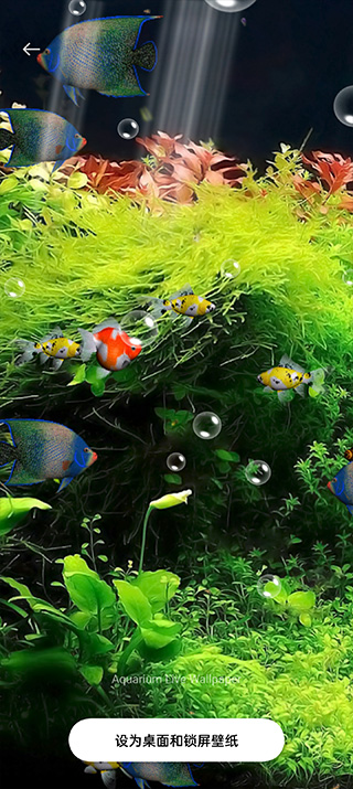 水族馆动态壁纸截图3