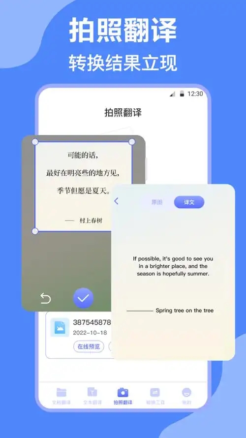 Deepl翻译截图1