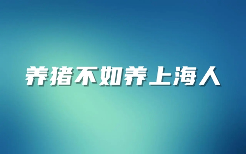 养猪不如养上海人是什么意思