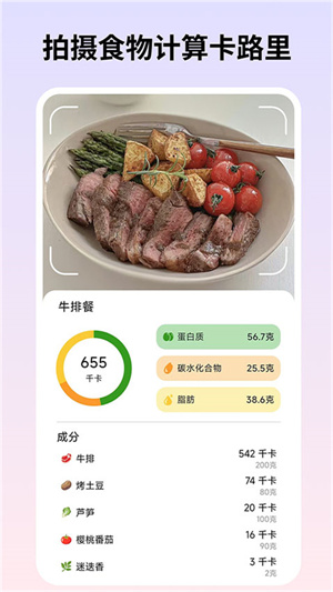 自律茄子ai识别食物截图2
